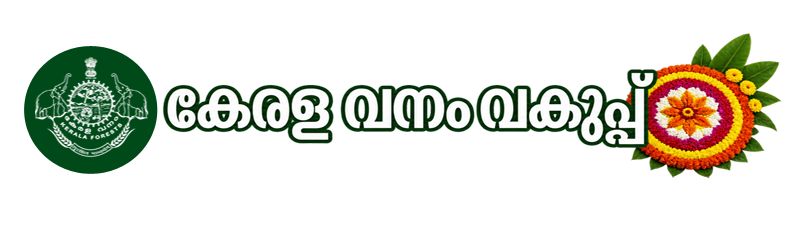webiste logo psd malayalam
