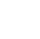 wild-pig
